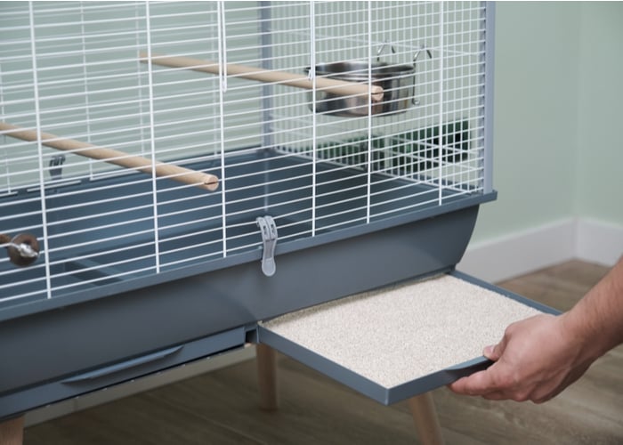 how to disinfect a bird cage