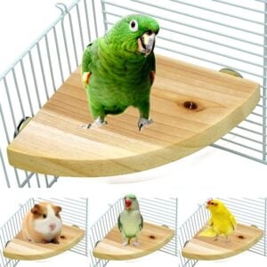 Borangs Wood Perch Bird Platform