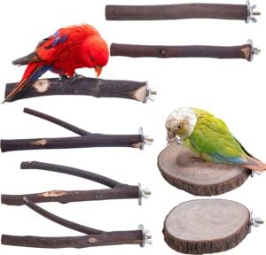 Deloky 8 PCS Natural Wood Bird Perch