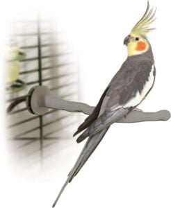 K&H PET Thermo-Perch
