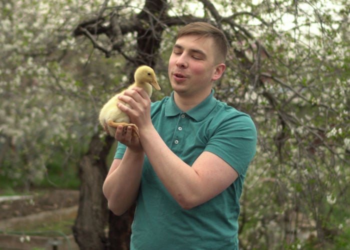 Man talking to a tamed duckling