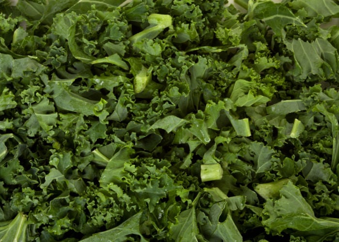 chopped curly kale for chickens