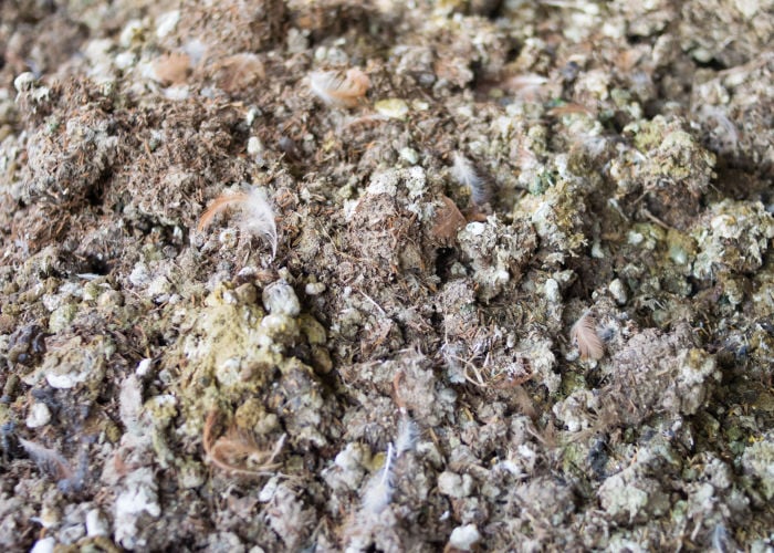 raw chicken manure to be aged as fertilizer