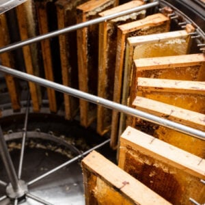 Honey extractor
