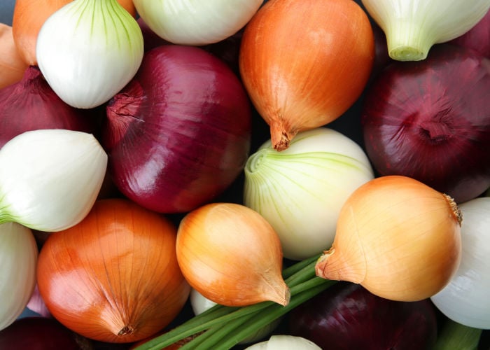 Can you feed chickens onions