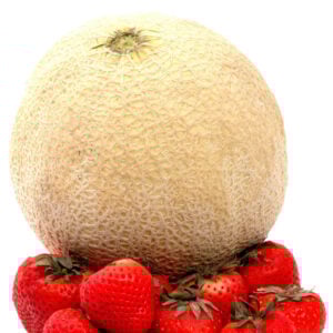Athena Cantaloupe