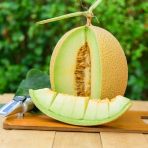 Galia Cantaloupe