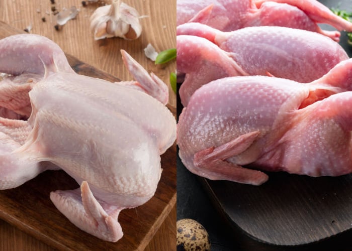 Quail vs Chicken Meat