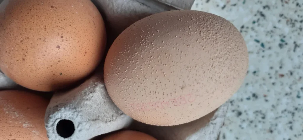 Bump on eggshells Source Reddit