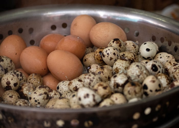 TasteAtlas - Nearly all poultry eggs are edible - from tiny quail eggs to  giant ostrich eggs. Learn about different eggs, their average size, and  their nutritional value.