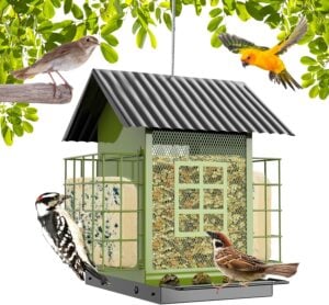 Best Overall Feeder: Metal Bird Feeder