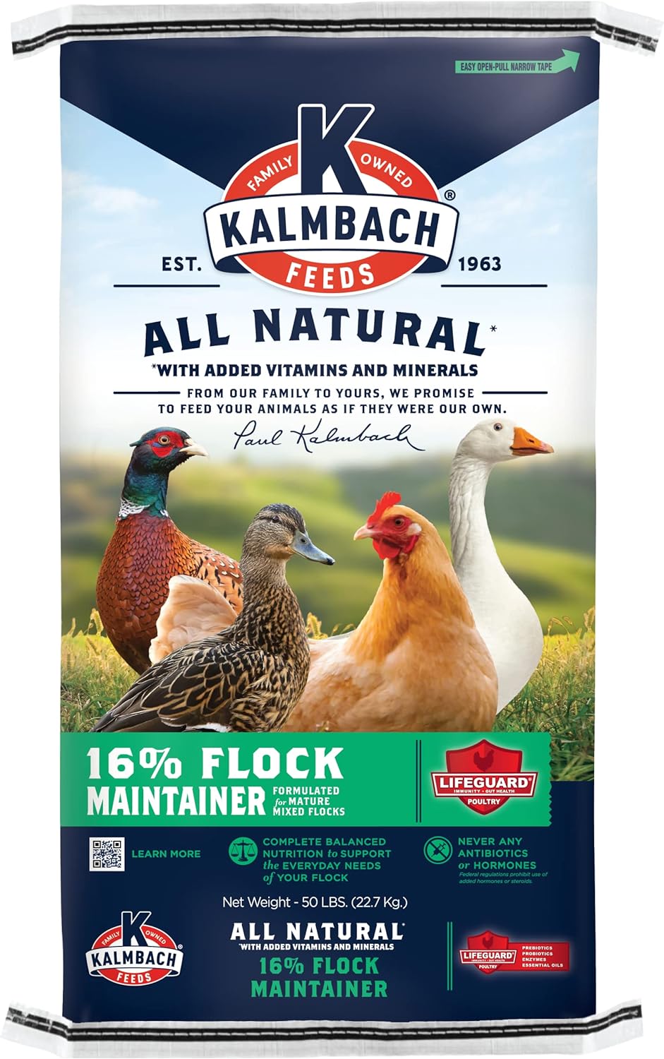 Can Ducks Eat Chicken Feed? The Happy Chicken Coop
