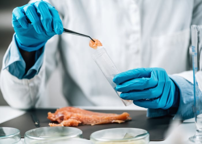 salmonella in chickens test for lab
