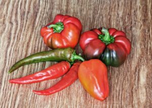 Can Chickens Eat Peppers? Here's the Spicy Truth! - The Happy Chicken Coop