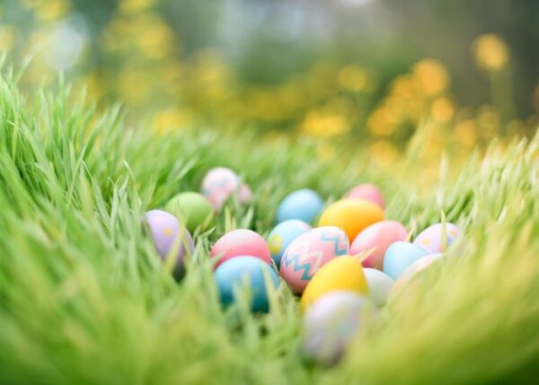 Easter Egg Hunt: The Tradition Continues Despite Pricey Eggs - The ...