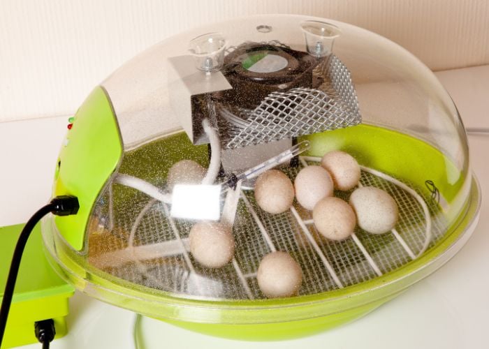 portable incubator at home