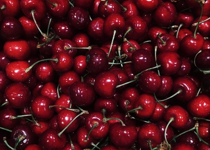 can chickens eat cherry stems
