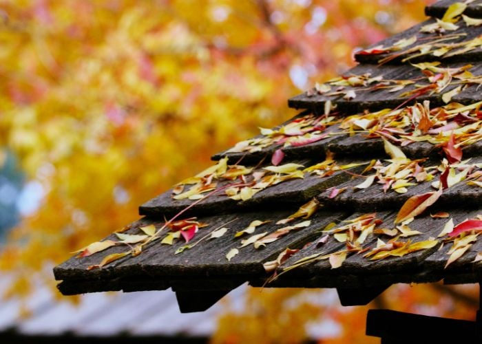 fall checklist for chicken keepers repair fix coop roof