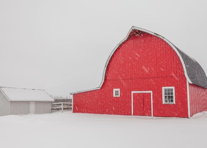 prepare your coop for a snowstorm