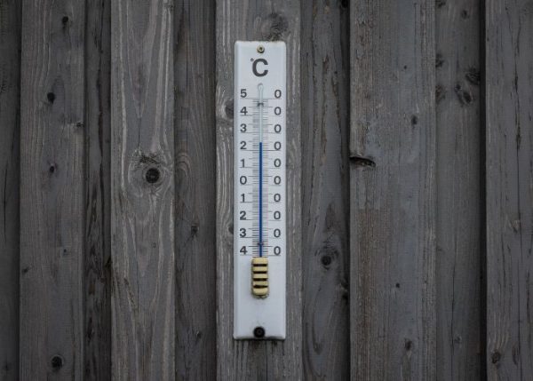 Image showcasing Finding the Best Temperature for Chickens - The Happy Chicken Coop