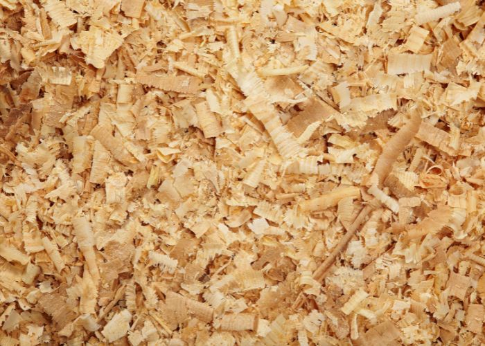 Winter Bedding Options for Chickens pine shavings