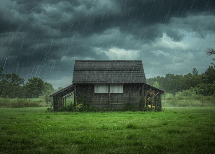 protect chickens from spring storms
